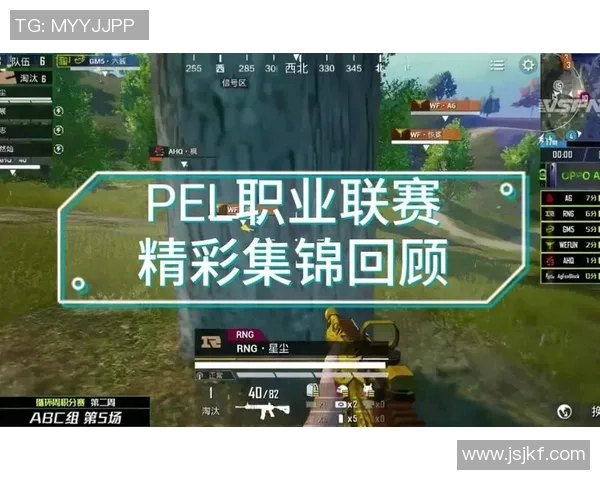 和平精英巨献：深入分析RNG战队近期状态与表现探讨
